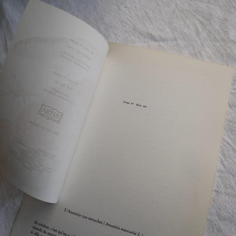 Botanical board mushroom Amanite Tue-mouches