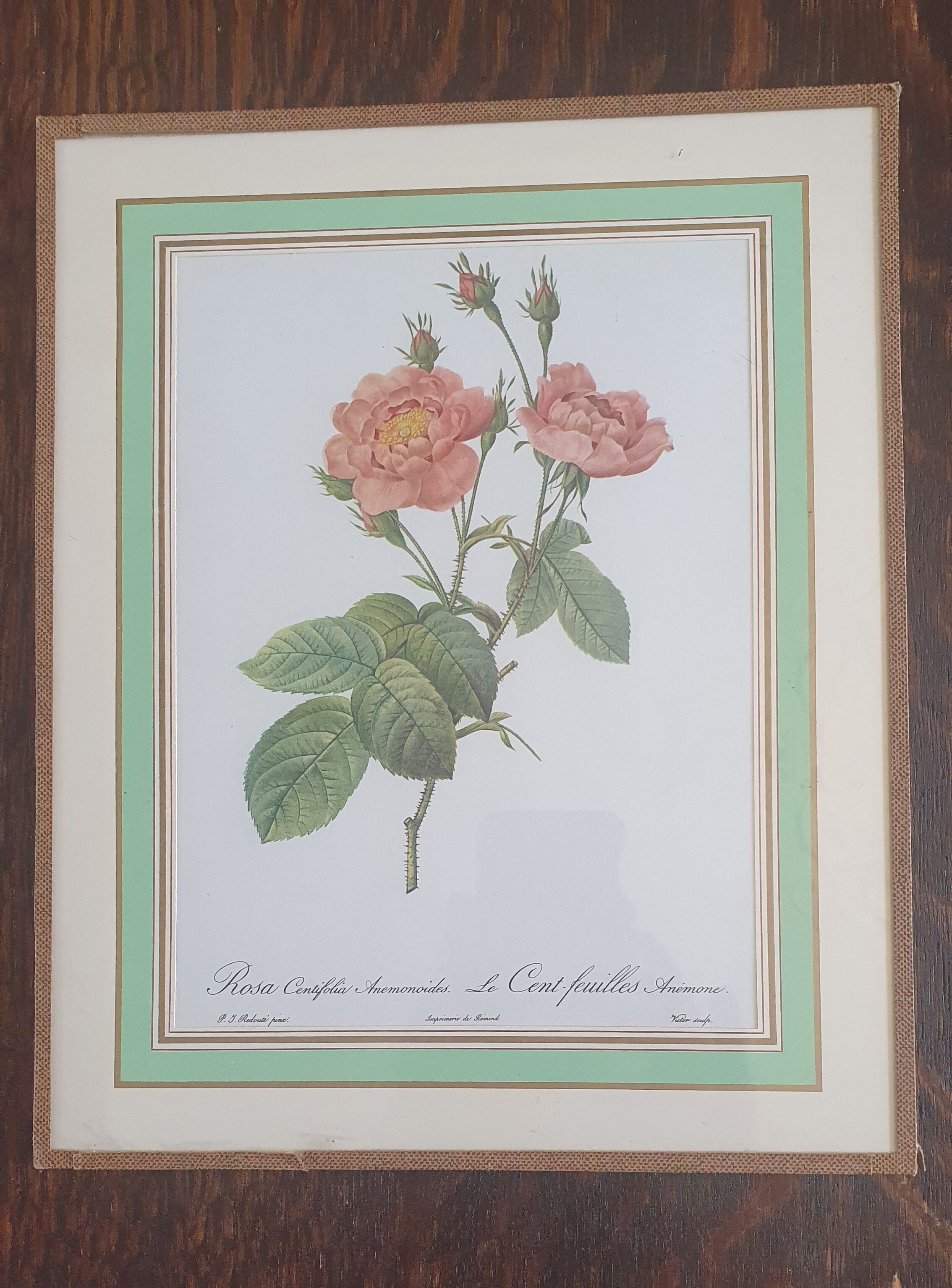 Set of 4 prints after P J Redoute