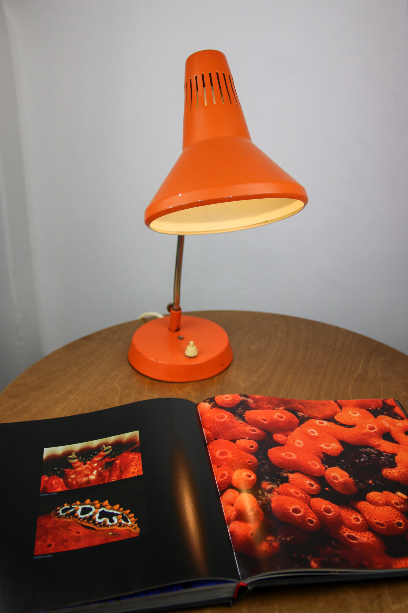 Adjustable Desk Lamp in Orange Painted Metal from TEP, 1970s