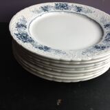Set of 8 flat plates