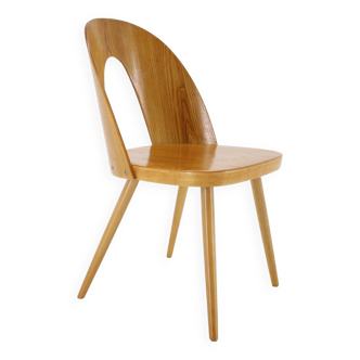 1960s Antonin Suman Chair in Walnut ,Czechoslovakia