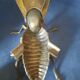 Cendrier mouche