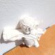 White plaster angel wall decoration