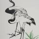 Mokuchu URUSHIBARA : Estampe japonaise, Les hérons (blanc), Gravure sur bois signée
