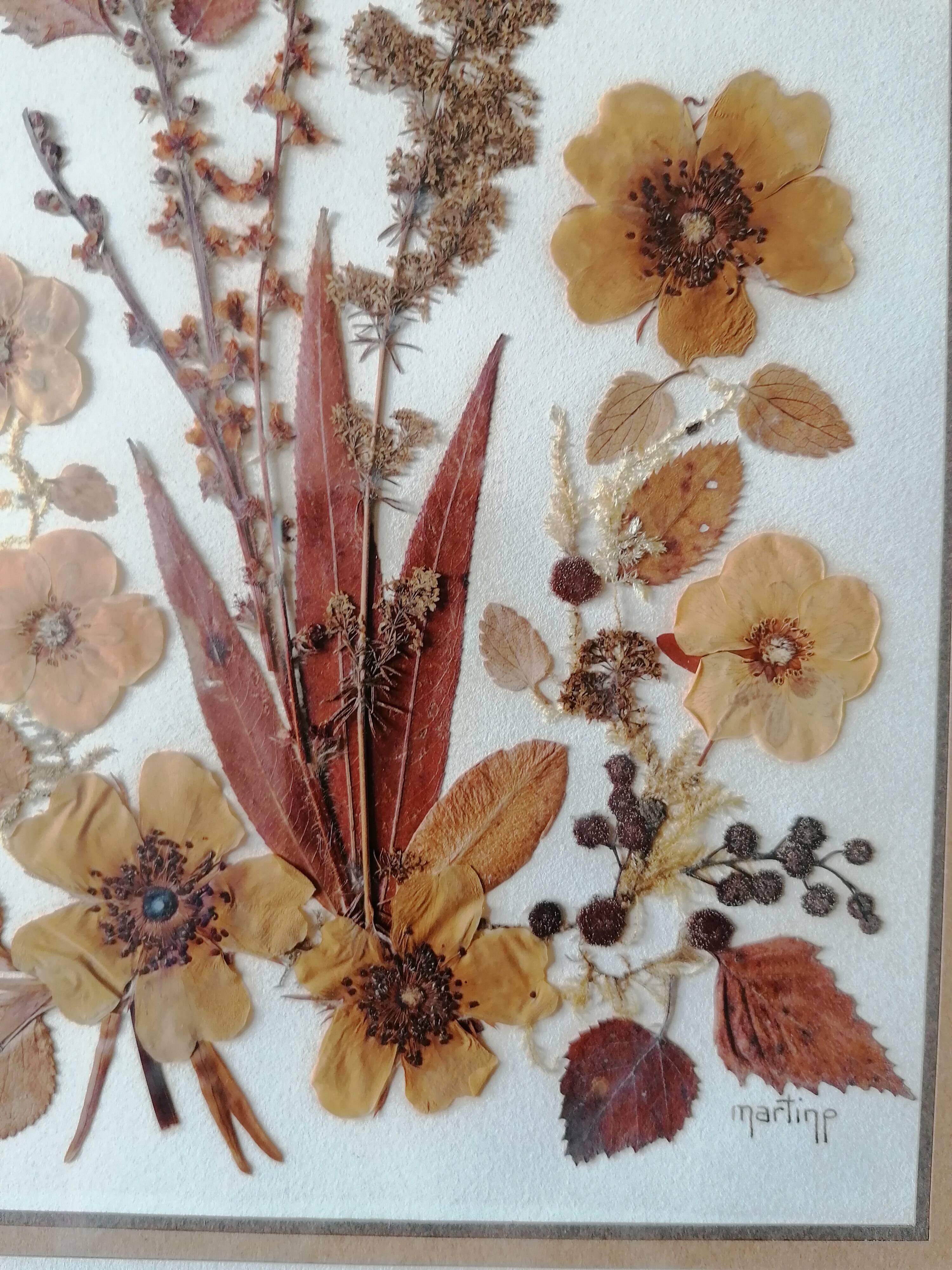 Ancient herbarium