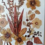Ancient herbarium
