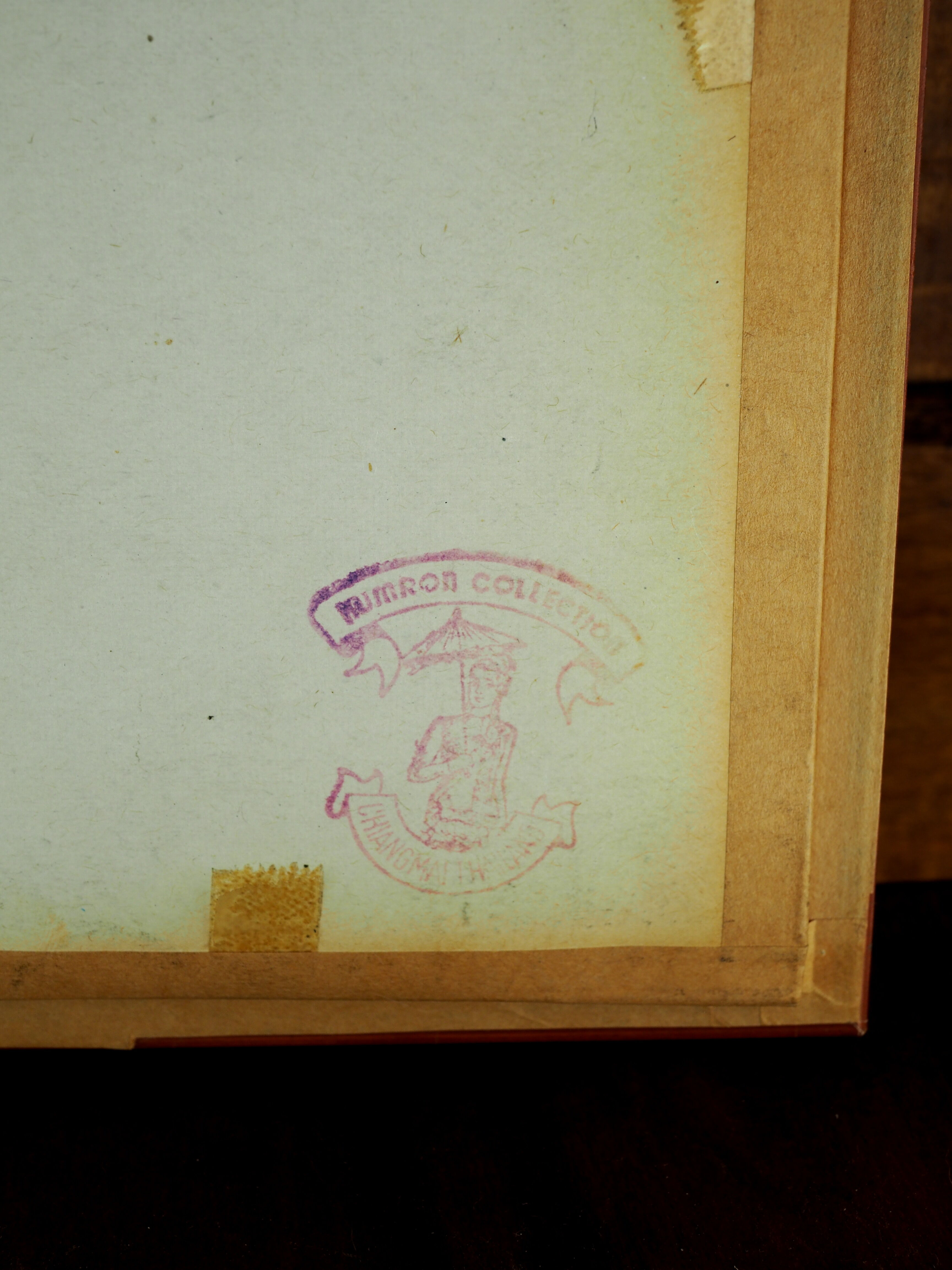 Five butterflies on cotton wool under frame - 60s / 70s