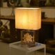 Lamp with plane tree leaf inclusion by Pierre Giraudon 1970s