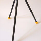 Tripod plant door, 50/60s