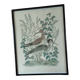 Aquarelle courlis Dayelle de Terronblan