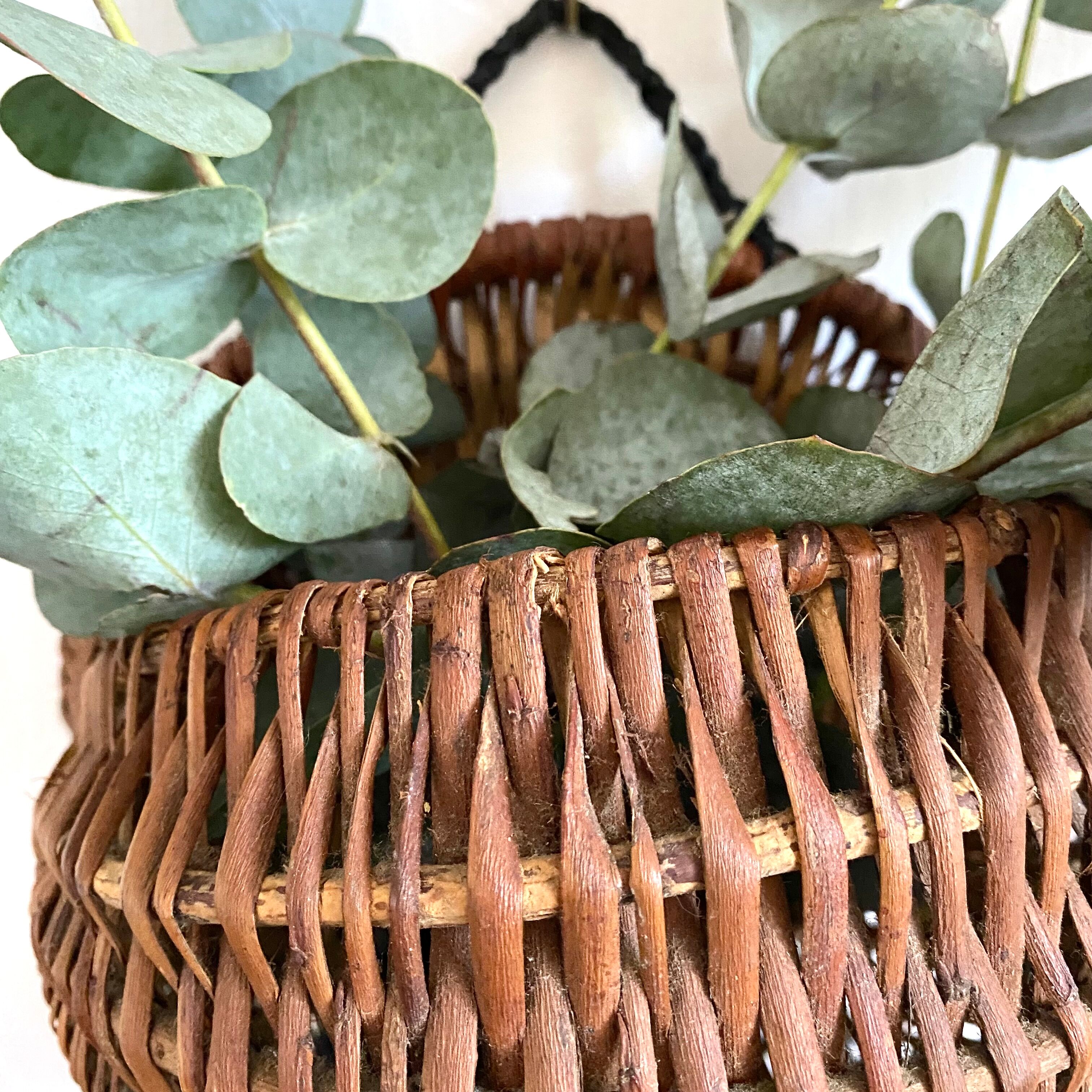 Wicker crab basket called "Gourbille"