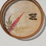 Plateau and 6 rattan and plexi butterfly glass undersides