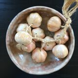 Bunch of garlic in slip