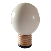 Ostrich egg