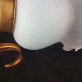 Pair of gilded metal thrush sconces