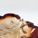 Grand coquillage en verre de murano vintage, 1960