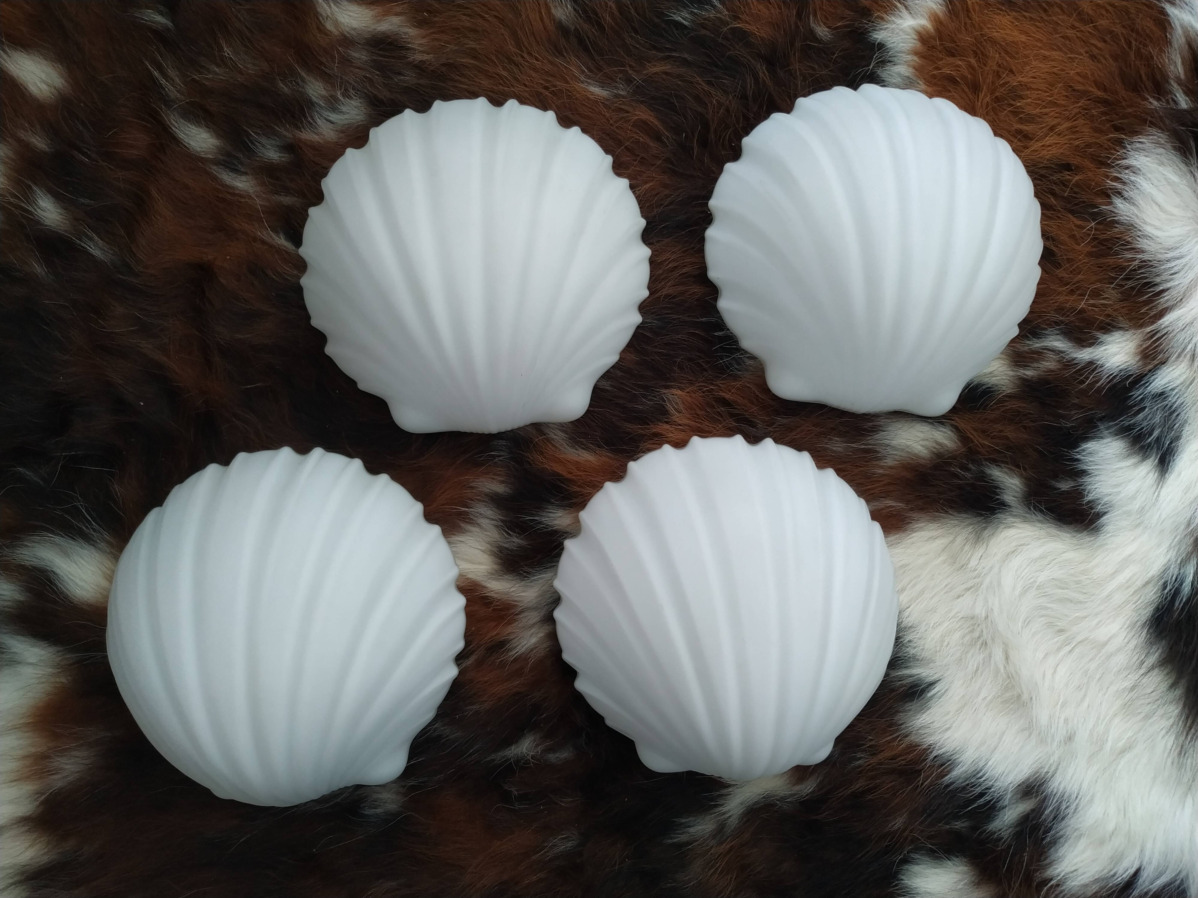 Suite of four Limburg shell sconces
