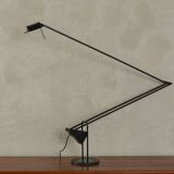 Lampadaire Flamingo de Luxo