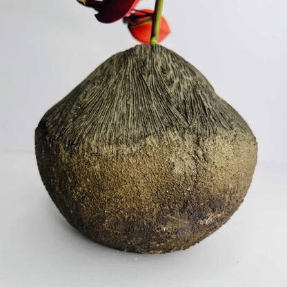 Pot artisanal Vulcano en ciment minéral