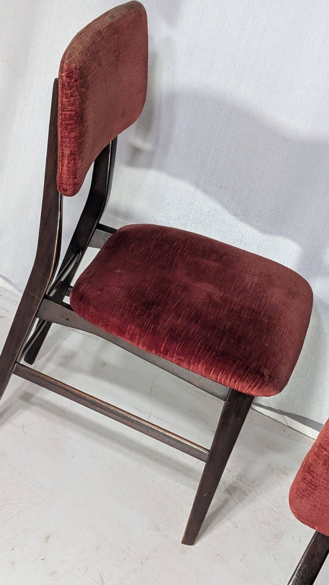 Set of 6 chairs by Vittorio Dassi, 50s