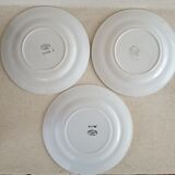 3 plates earth of iron Saint Amand