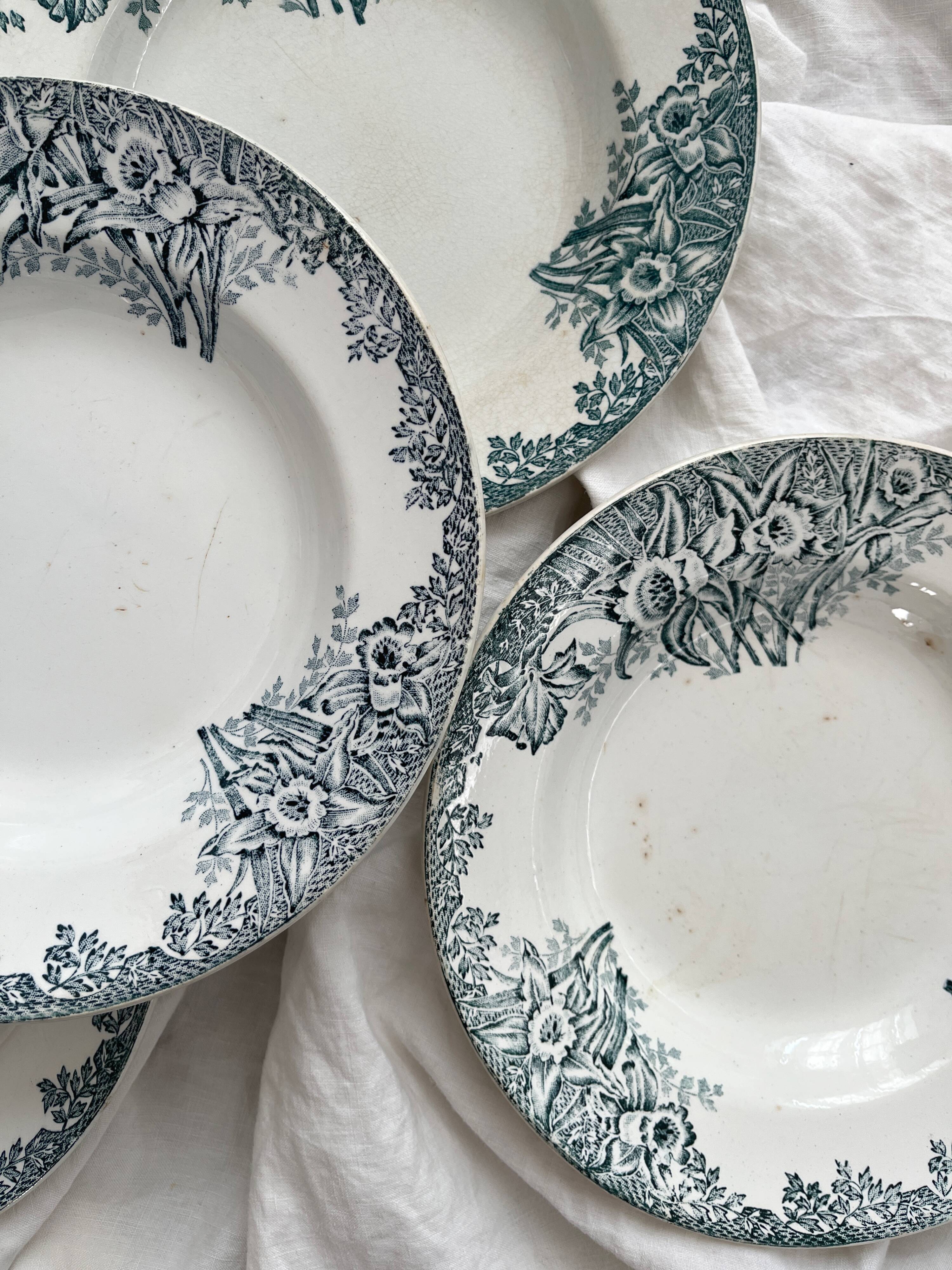 4 ironstone soup plates "Narcissus" Saint Amand A. Lebacqz & M. Bouchart