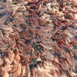 Berber carpet Beni Mguild 2m40 by 1m98