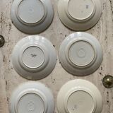 6 vintage flowered earthenware flat plates