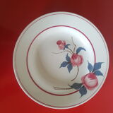 Set of 5 Saint amand plates