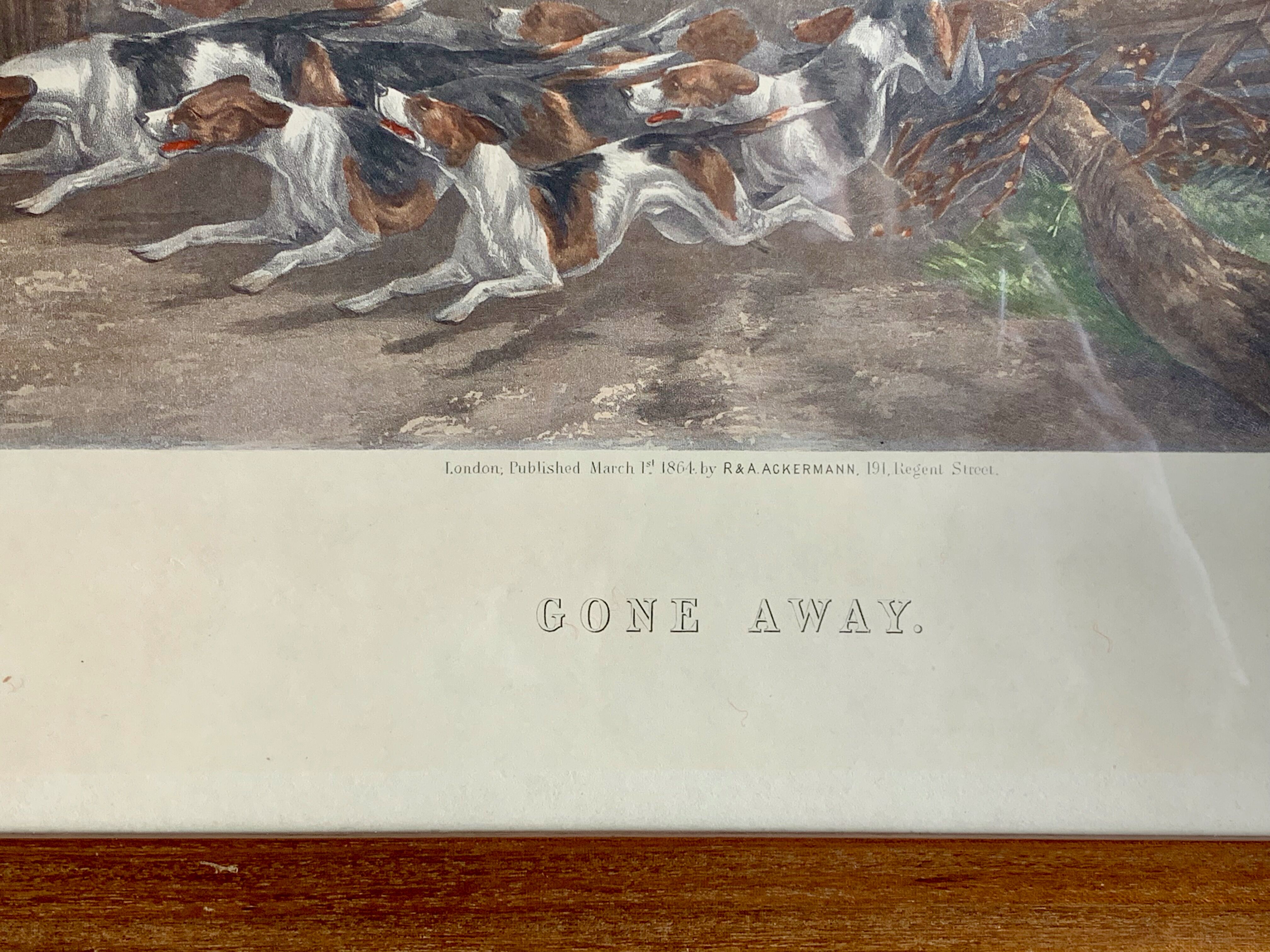 English engraving of hunting hound and hunting dog