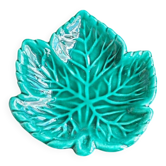 Cabbage leaf