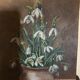 Nature morte