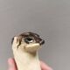 A very rare ceramic figurine by Arne Ingdam, Denmark, 1960s.