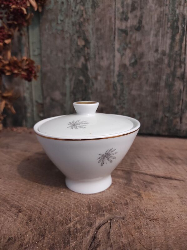 Ensemble de café en porcelaine Vintage Mitterteich Bavaria