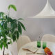 Tulip hanging lamp