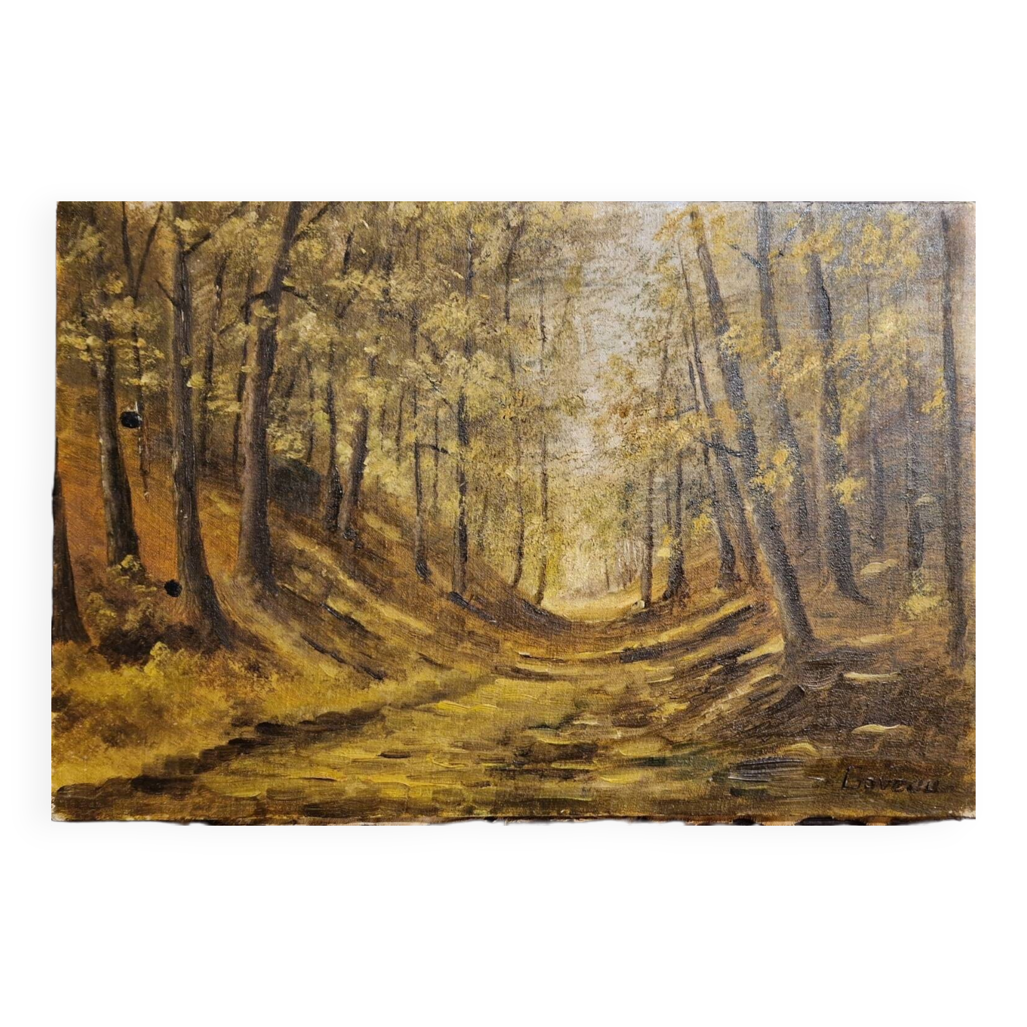 Wooded landscape