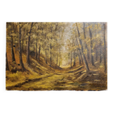 Wooded landscape