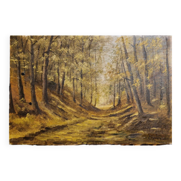 Paysage boisée