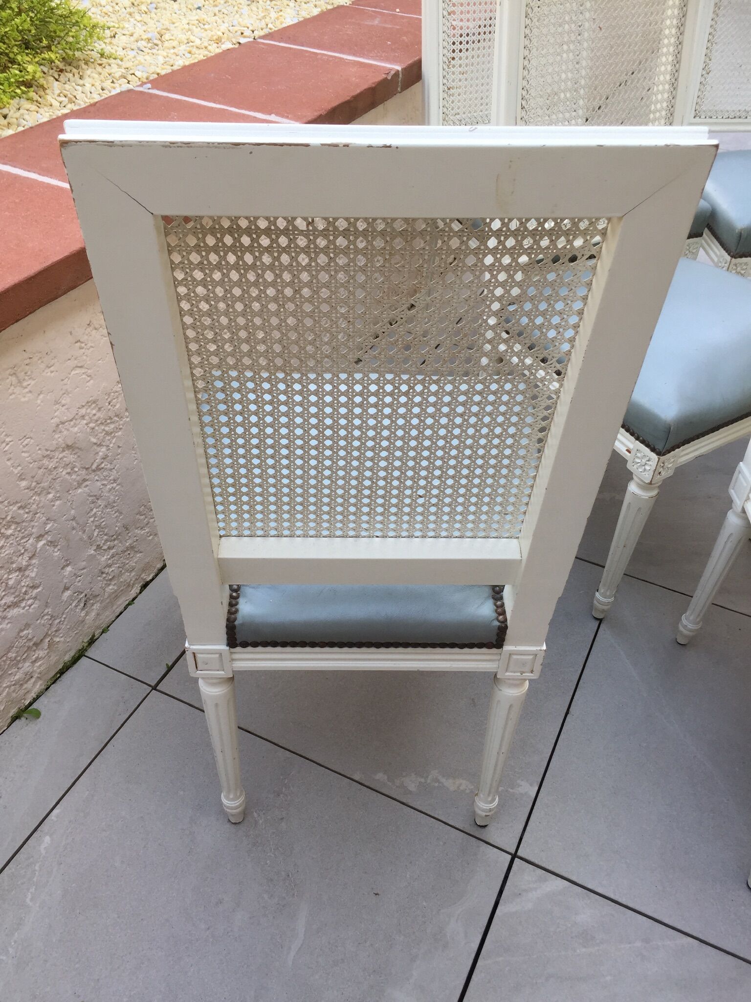 6 Louis XVI style chairs with canned back and leather seat