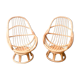 Set of two rattan swivel chairs
