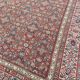 Large old Kurdish Persian carpet Malayer in length 200x490 cm