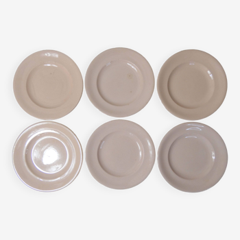 Longwy 6 powder pink dinner plates