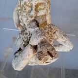 Gargoyle in cement mermaid bugle cathedral ep 1950