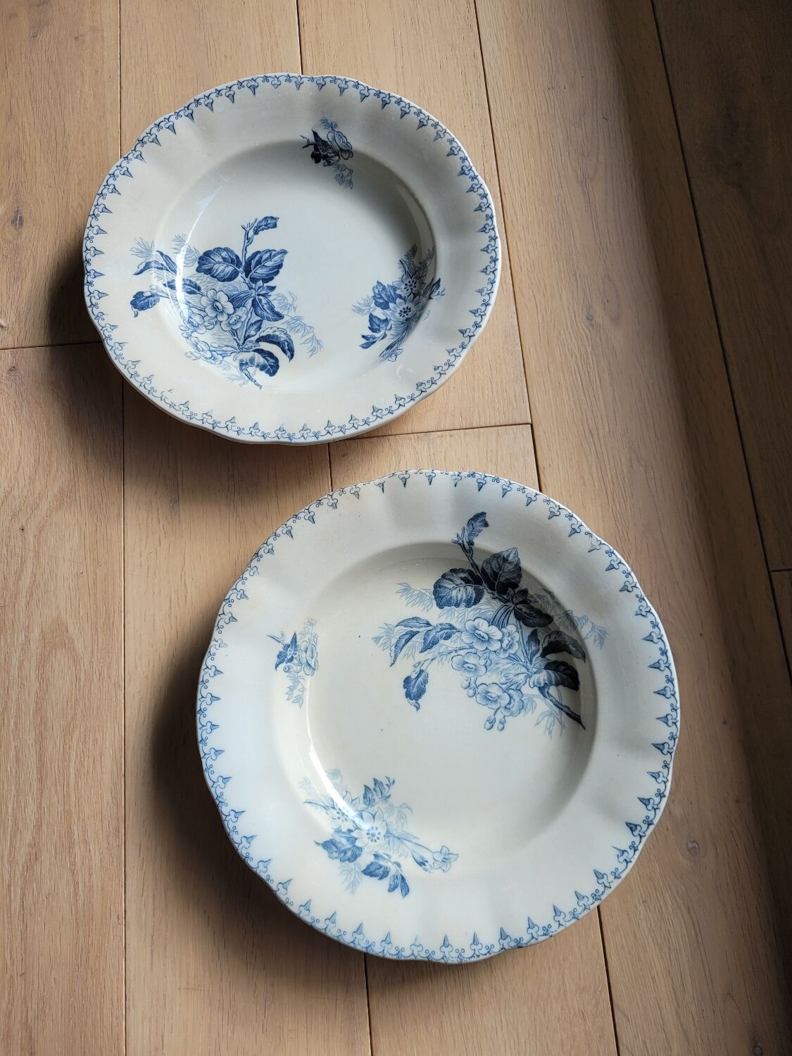 Set of 2 hollow plates Flore U&C Sarreguemines