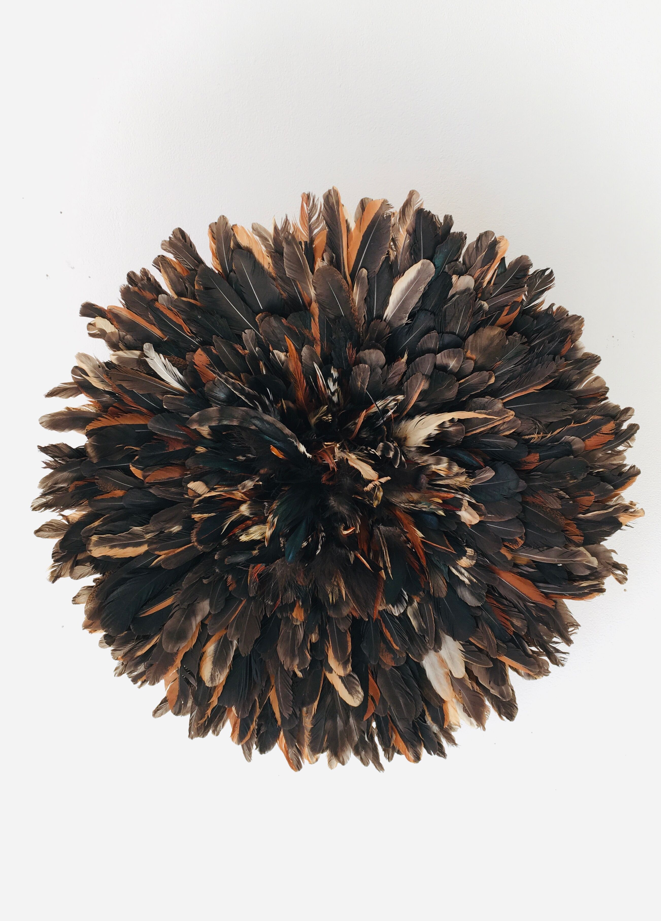 Speckled black jujuhat 55 cm