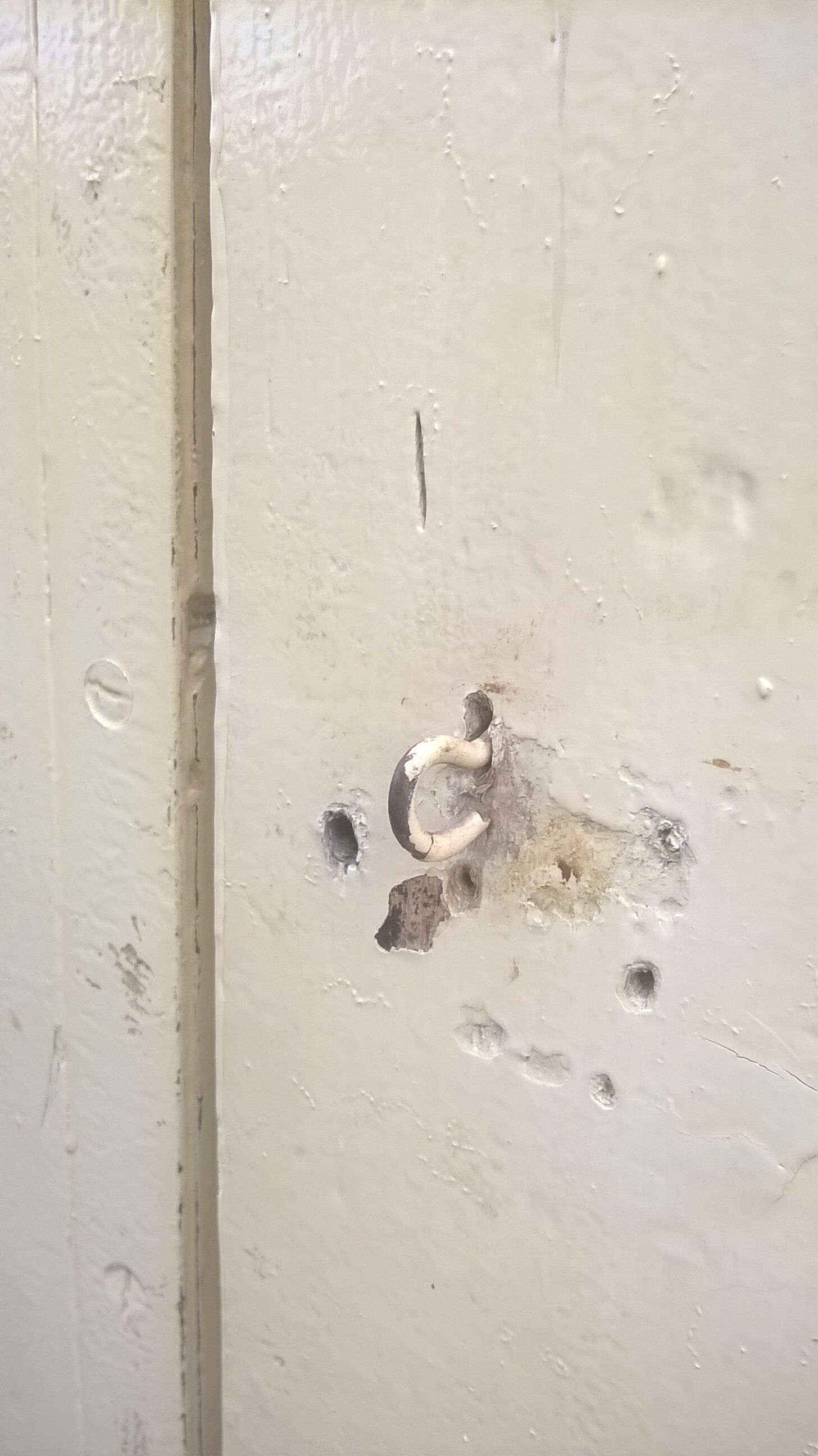 Old Haussmann double doors