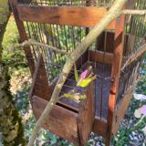 Cage à oiseaux ancienne en bois
