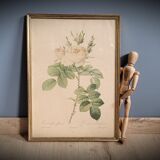 Litho rosier perfumers