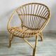 Adult rattan shell armchair