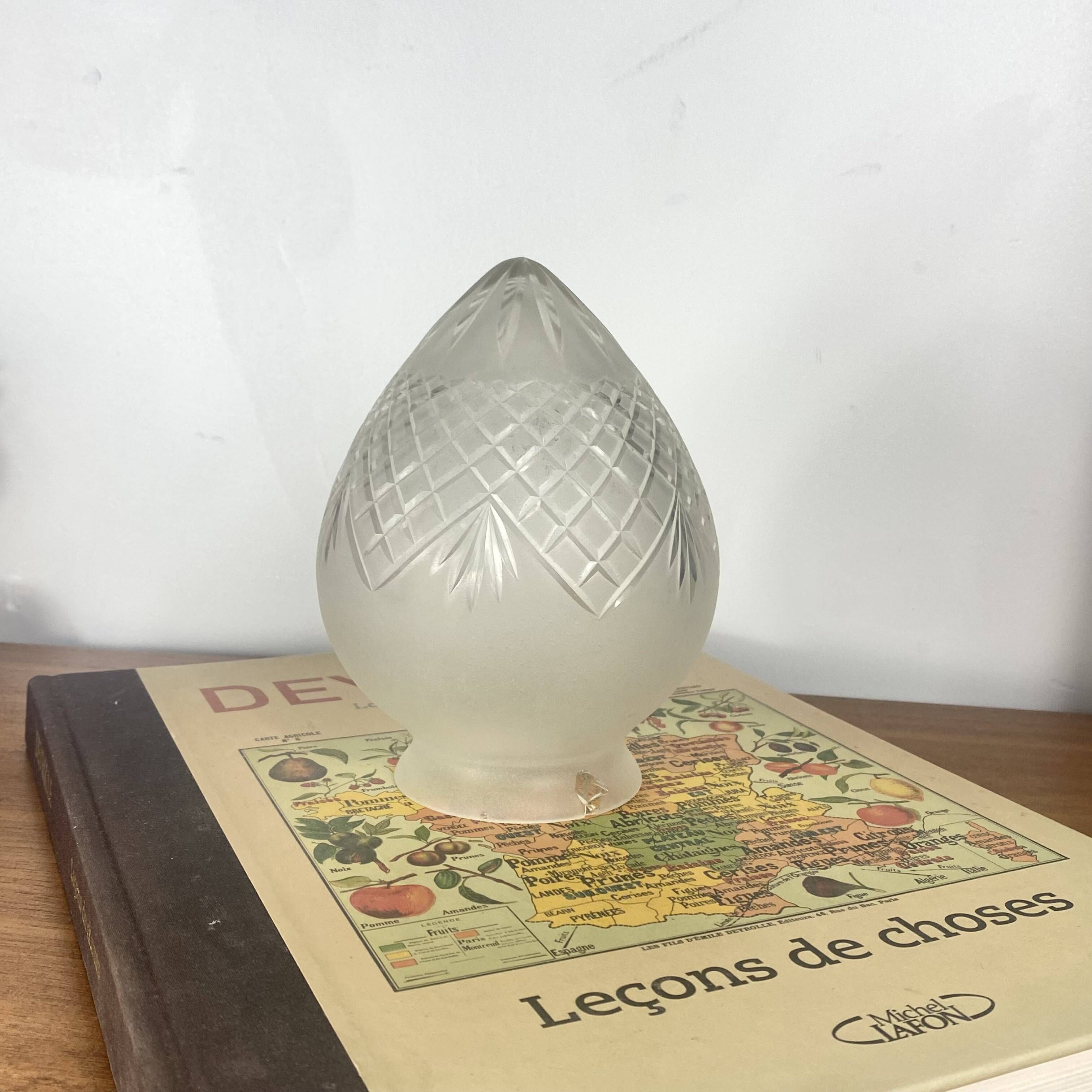 Old globe lampshade, shell, egg, pine cone for wall lamp chandelier.